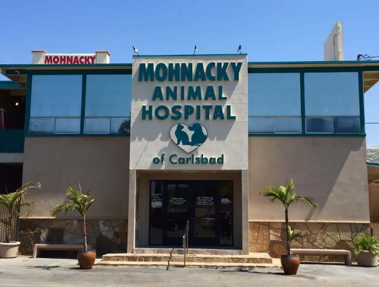 Mohnacky Animal Hospital - Carlsbad, California, Carlsbad